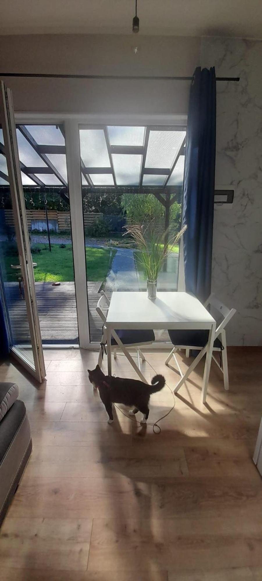 Osada Pod Lasem Andrychów Extérieur photo