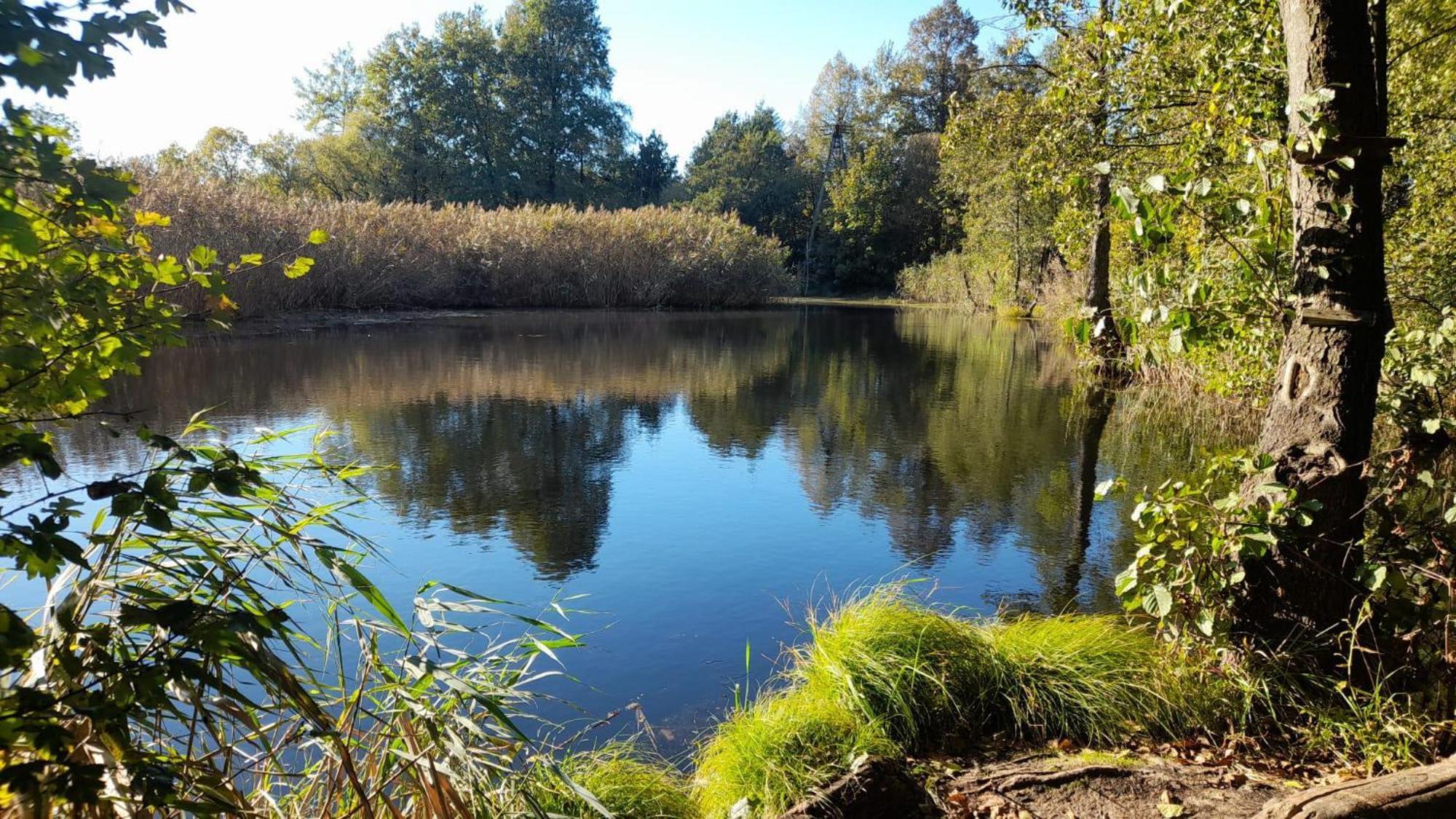 Osada Pod Lasem Andrychów Extérieur photo